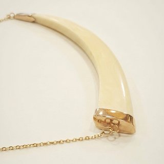 Collar Colgante Colmillo en Oro de 18k