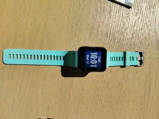 Garmin Forerunner 35 GPS + Cable Original