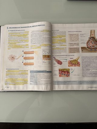 Anatomía aplicada