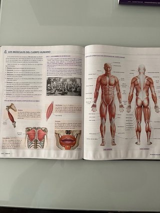 Anatomía aplicada