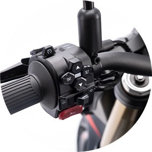 QJ motor SKR 800