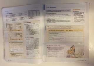 LLIL 1, Llengua catalana i literatura
