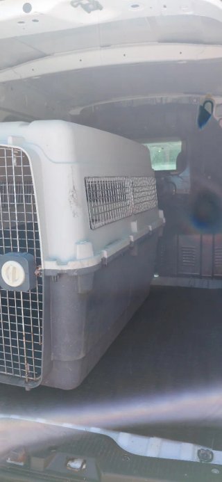 Transportín Perro Grande Gris/Blanco