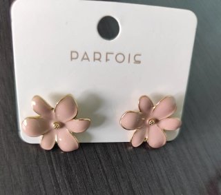 Lote de Pendientes
