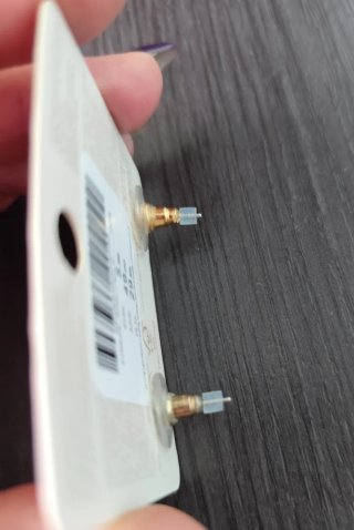 Lote de Pendientes