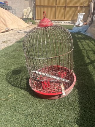 Jaula para loros