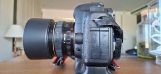 Canon EOS 5D Mark II + Lente 50mm f/1.4