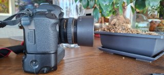 Canon EOS 5D Mark II + Lente 50mm f/1.4