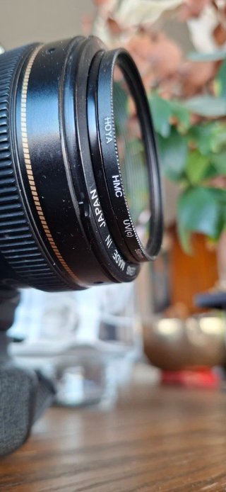 Canon EOS 5D Mark II + Lente 50mm f/1.4