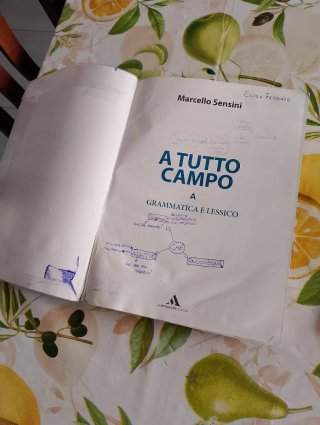 A tutto campo - Marcello Sensini