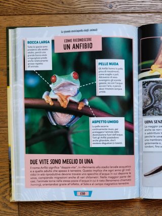 La grande enciclopedia degli animali