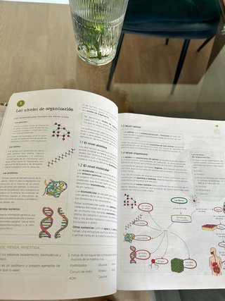 Biología y geología, 3 ESO, Operación mundo