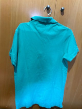 Polo Tommy Hilfiger Verde/Turquesa