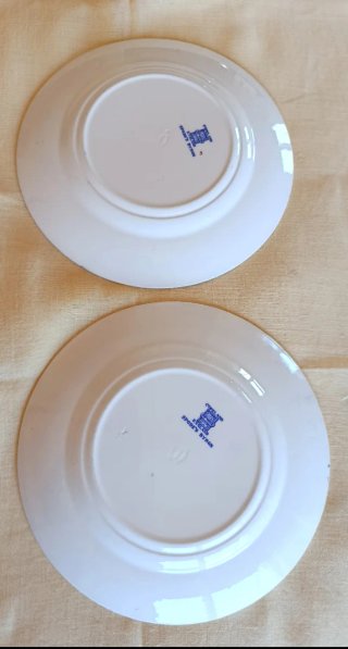 2 piatti Spode da collezione