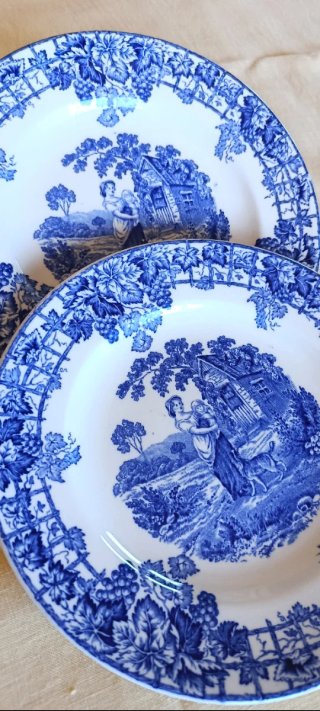 2 piatti Spode da collezione