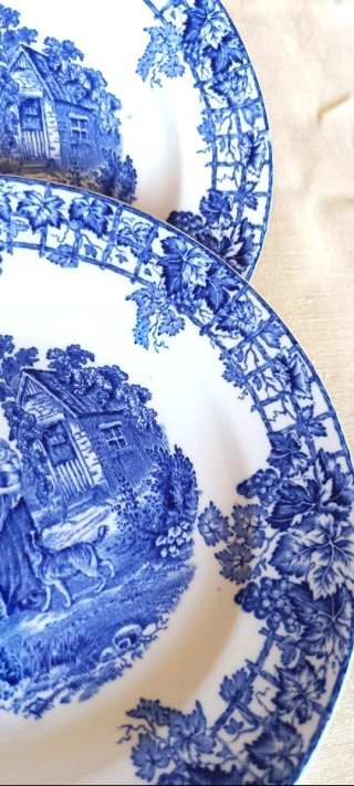2 piatti Spode da collezione