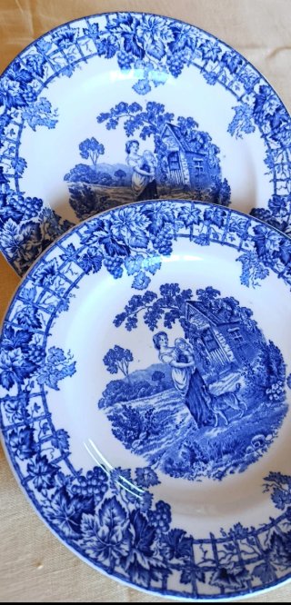 2 piatti Spode da collezione