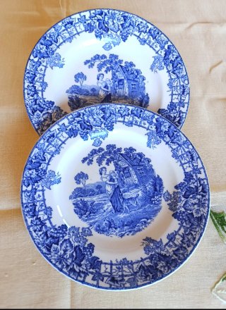 2 piatti Spode da collezione