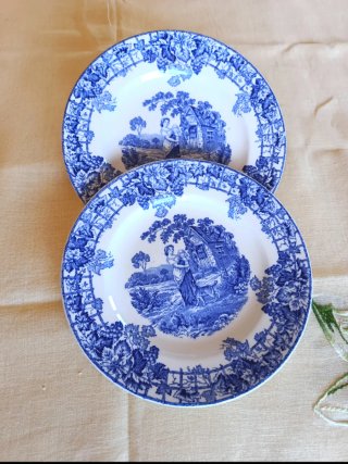 2 piatti Spode da collezione
