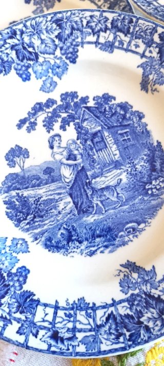 2 piatti Spode da collezione