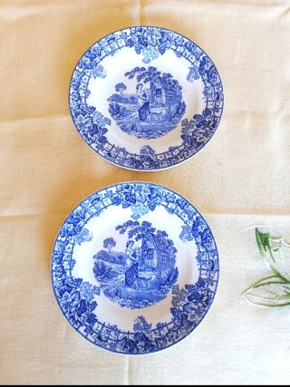 2 piatti Spode da collezione