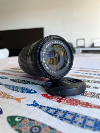 Canon EF-S 55-250mm IS STM