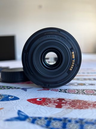 Canon EF-S 55-250mm IS STM