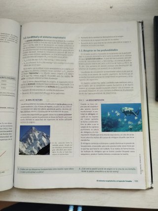 Anatomía aplicada