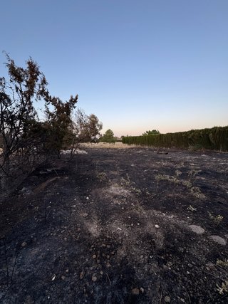 Parcela rústica 1000m en Ojos San Jorge Albacete