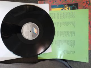 Vinilo Radio Futura Veneno en la Piel