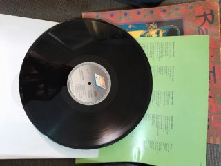 Vinilo Radio Futura Veneno en la Piel