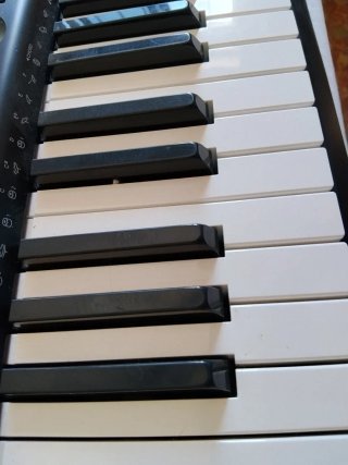 Teclado Casio 100 Tonos y Ritmos
