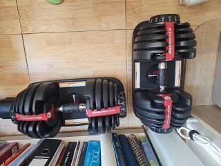 Mancuernas Ajustables Bowflex 2-24 kg