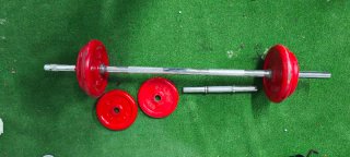 Lote 36kg Pesas Salter + 2 Barras