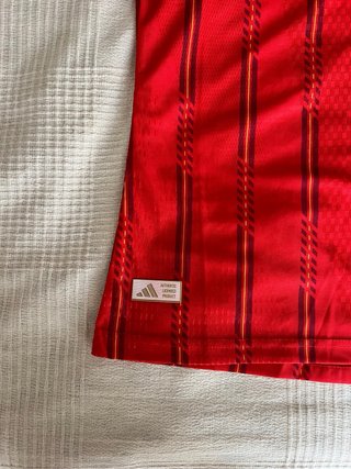 Camiseta Futbol España Roja y Azul