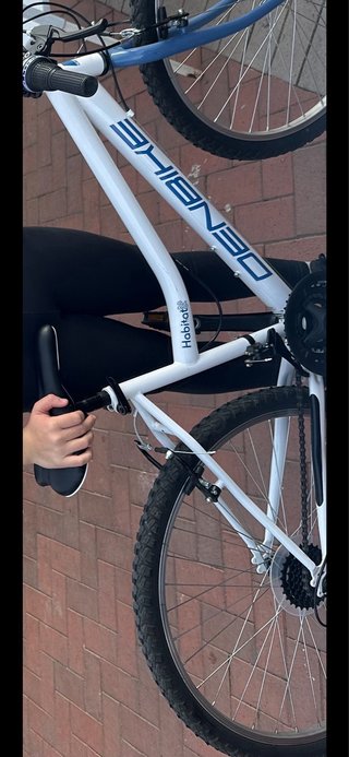 Bicicleta DENBIKE blanca
