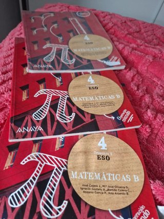 Libro matemáticas 4 eso