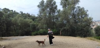 Cuidadora de perros cerca de zonas verdes