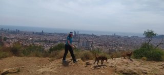 Cuidadora de perros cerca de zonas verdes
