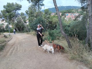 Cuidadora de perros cerca de zonas verdes