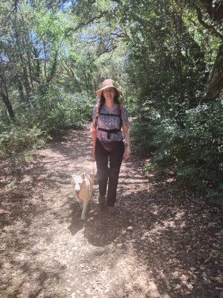 Cuidadora de perros cerca de zonas verdes