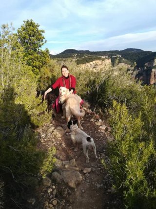 Cuidadora de perros cerca de zonas verdes