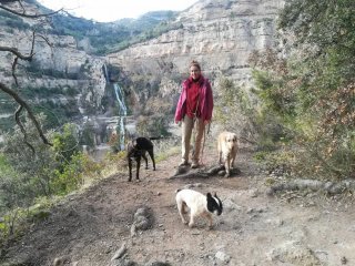 Cuidadora de perros cerca de zonas verdes