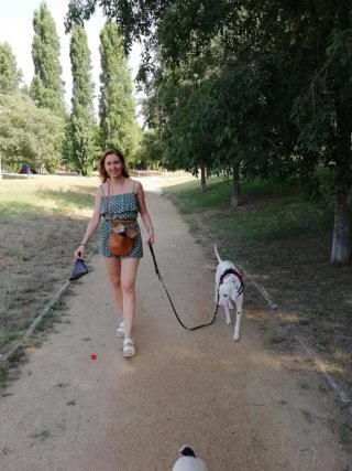Cuidadora de perros cerca de zonas verdes