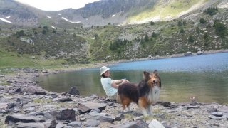 Cuidadora de perros cerca de zonas verdes