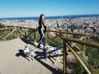 Cuidadora de perros cerca de zonas verdes