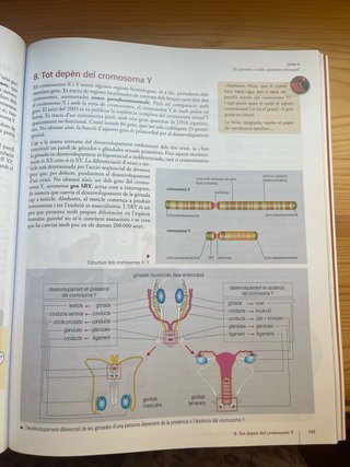 Biologia en context, Batxillerat 2