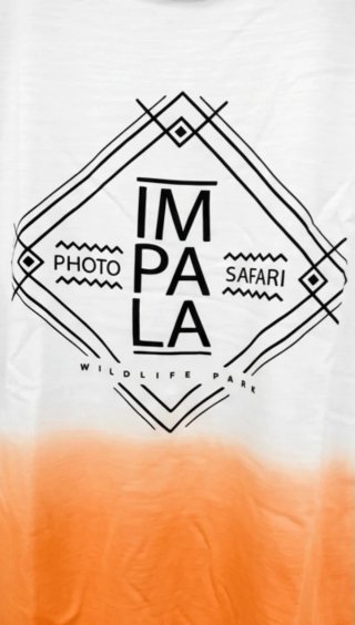 Camiseta Impala Safari Degradada - Green Coast