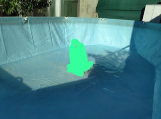 Piscina familiar elevada