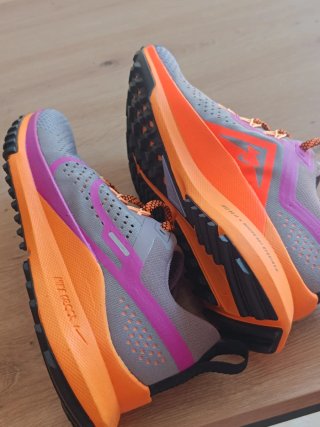 Nike Trail Running Zapatillas